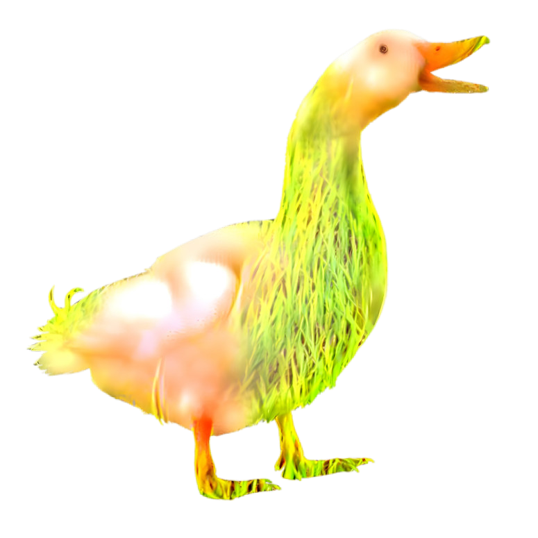 Grassy duck