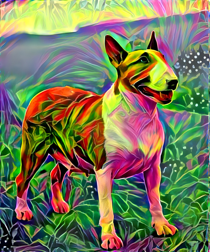Colorful bully