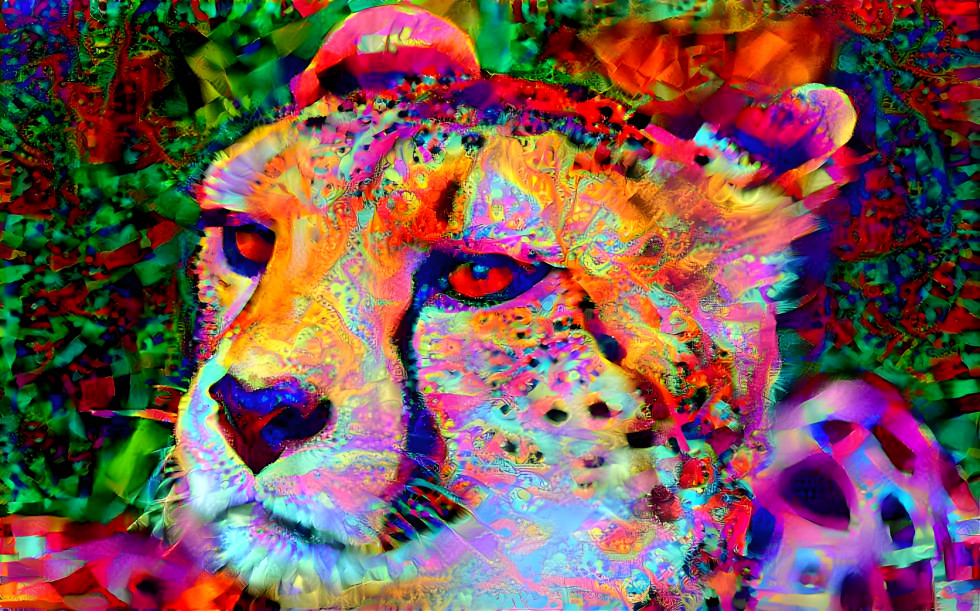 cheetah took acid