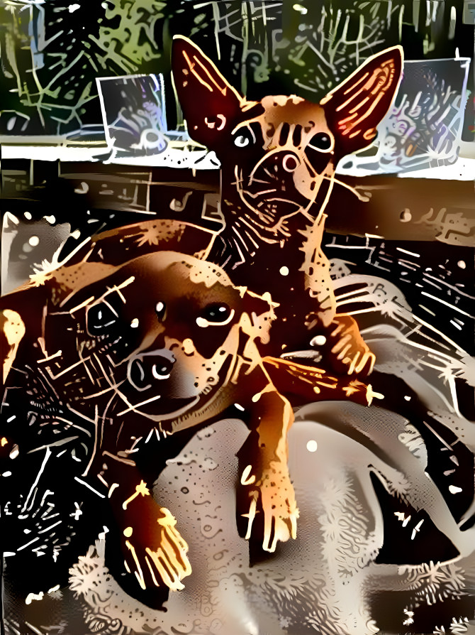 Starry night Chihuahua