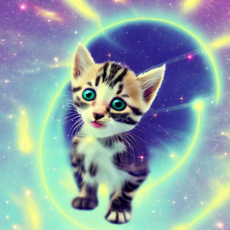 Adorable kitten with turquoise eyes in galaxy setting