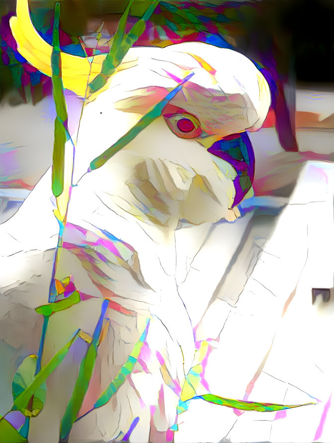 Cockatoo and face photo redreamed