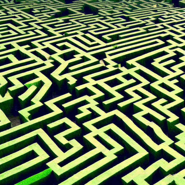 Intricate Green Hedge Maze from Above