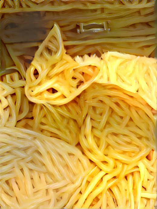 Spaghetti Kitten