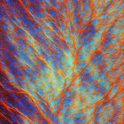 Abstract Neural Network Artwork in Orange and Blue
