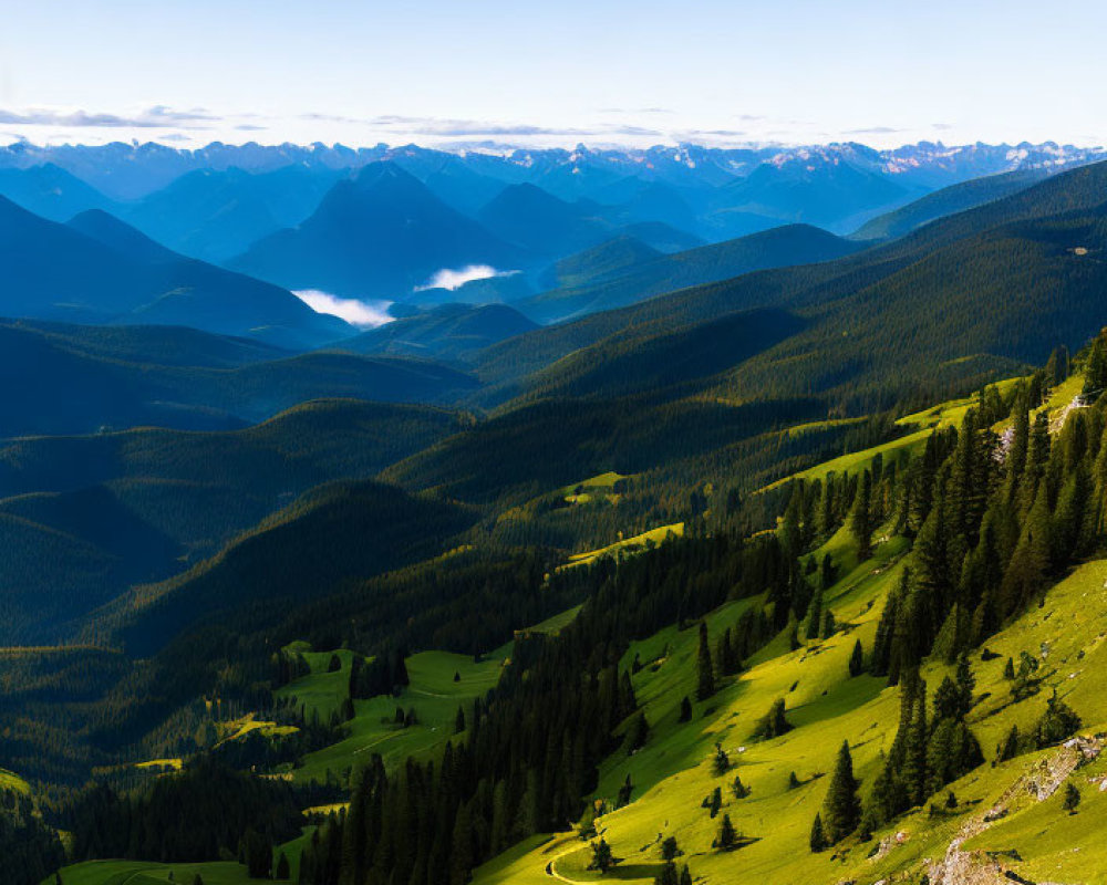 Scenic landscape of lush green hills, forest, and mountains under a blue sky