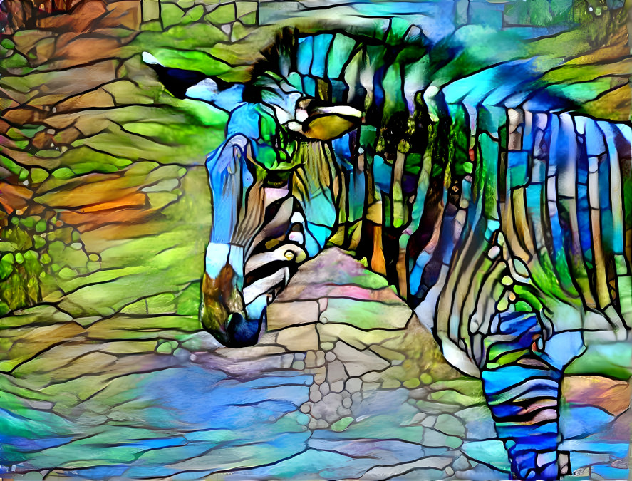 Colorful Zebra