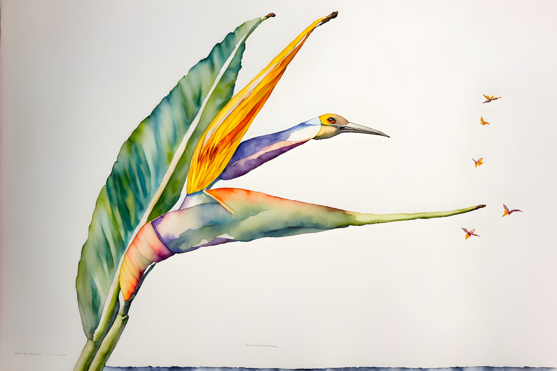 Birdo of Paradise Watercolor