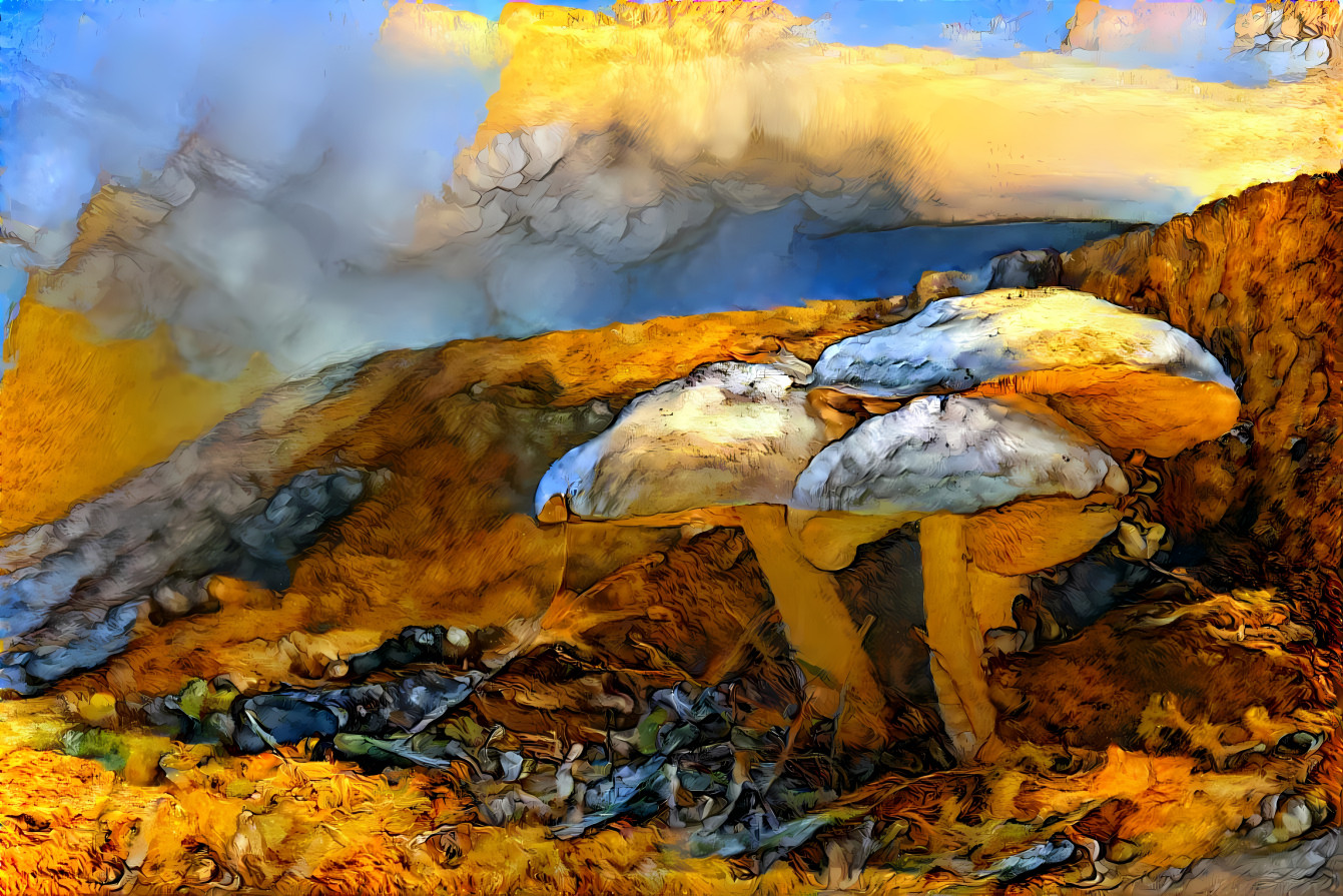 Mushroom Bluff