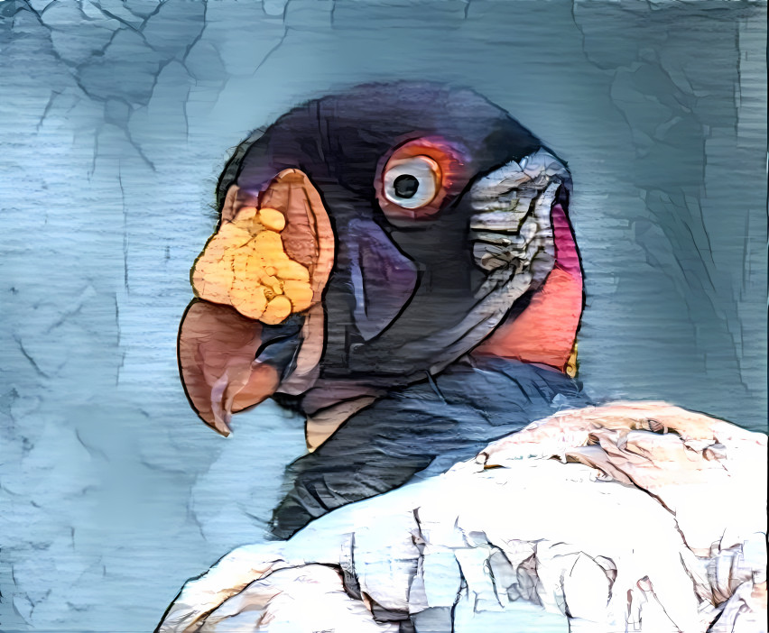 Zoo life 10 - Painted Vulture