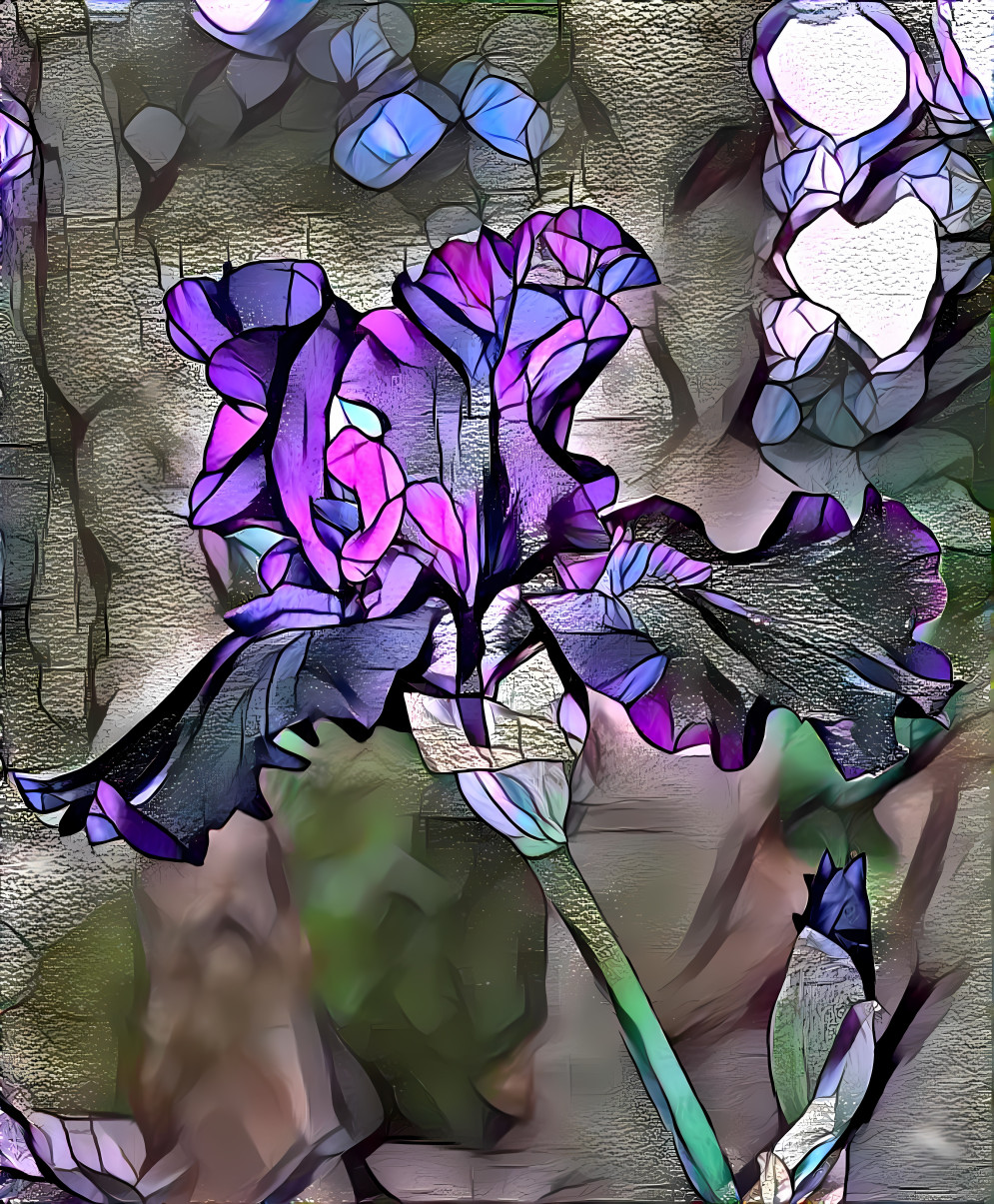 Stained Glass Iris