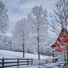 Winter scene: ornate church, chapel, snow-covered trees, gentle snowfall, frozen river