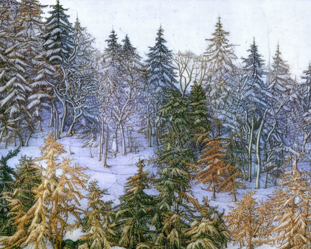 Snow-covered trees in serene winter landscape.
