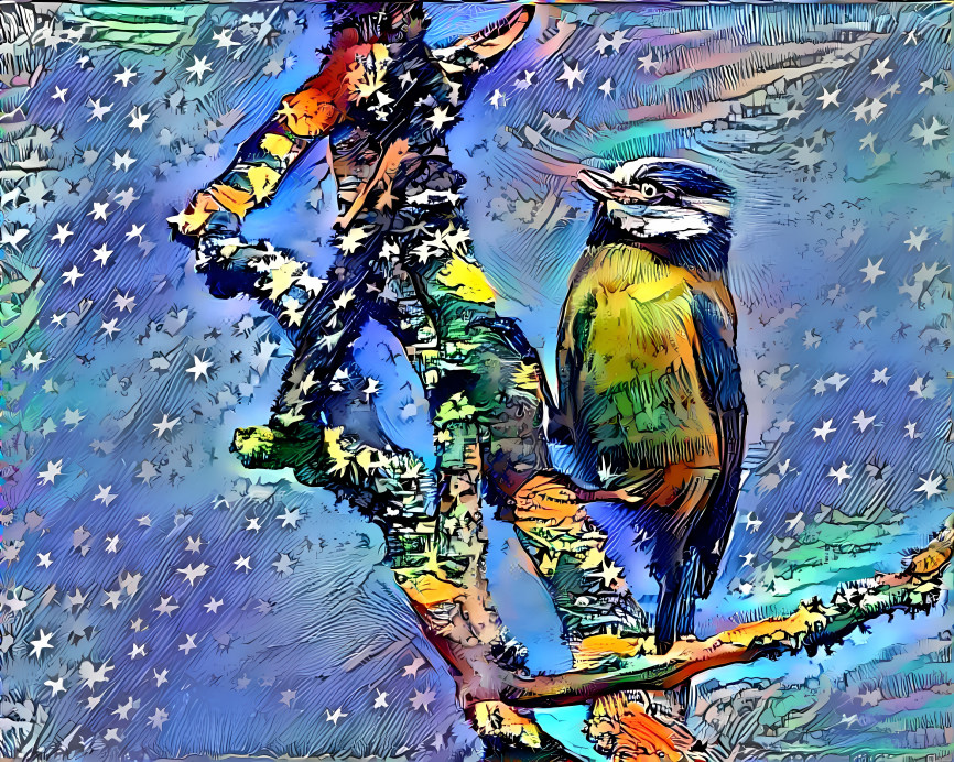At night the blue tit dreams of his beloved.