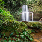 Multiple cascading waterfalls in lush greenery with vibrant flowers and moss-covered rocks.