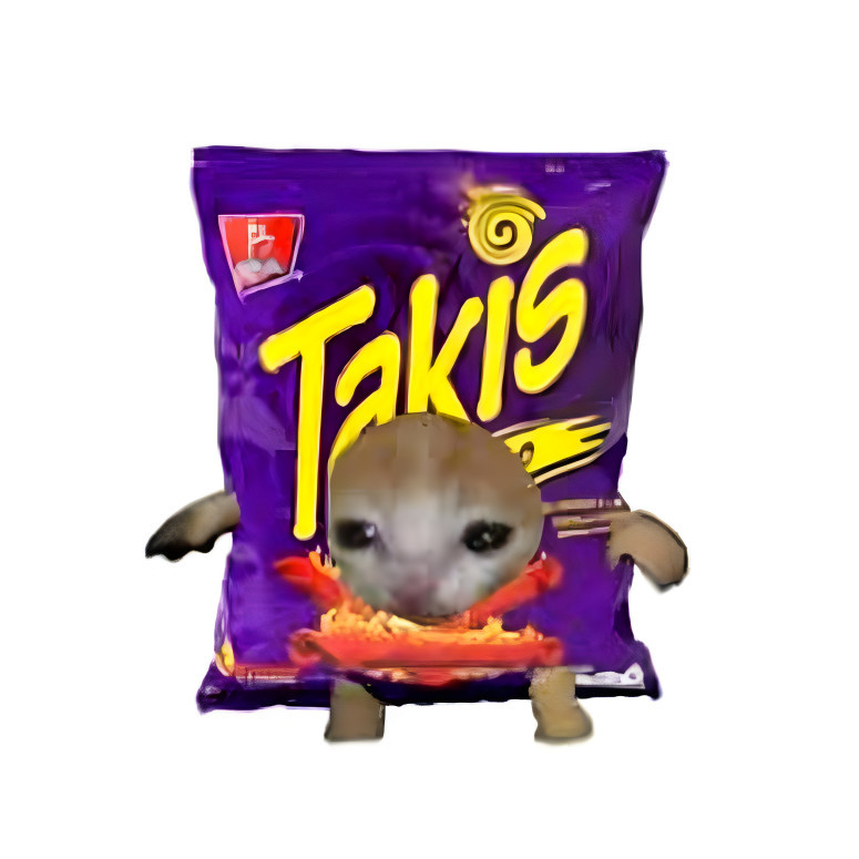 meme cat in takis bag
