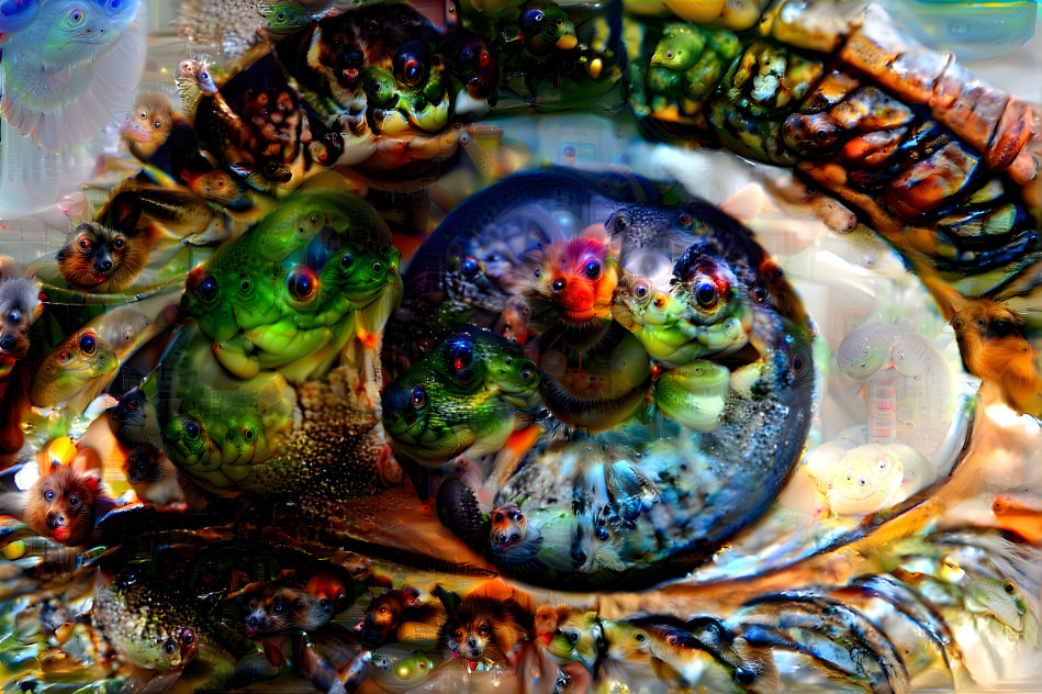 Eyes within eyes