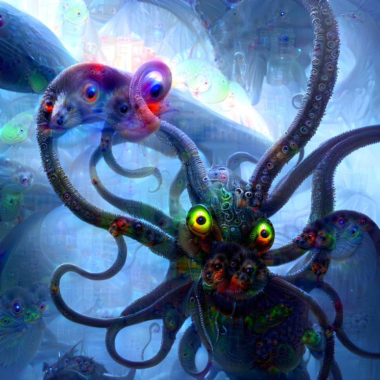 Octopus dream
