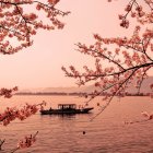 Japanese boat on calm lake with cherry blossoms and Mount Fuji at sunset
