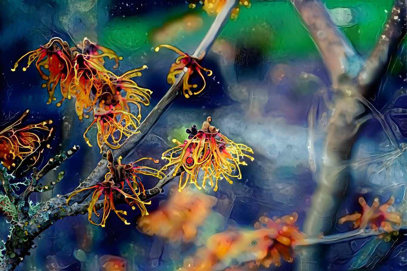 Witch Hazel in the Land of Faerie