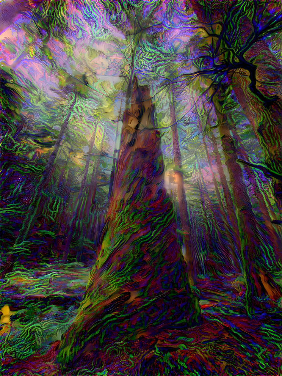 forest of fractals