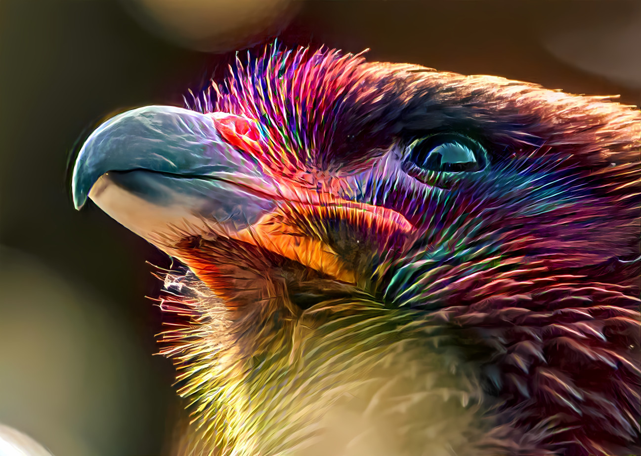 Eagle, painted plumage