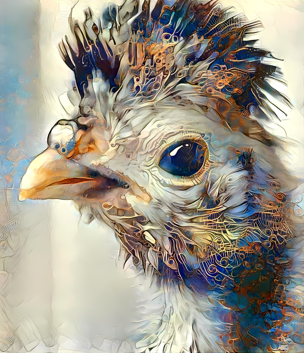 Portrait, blue-eyed bird 