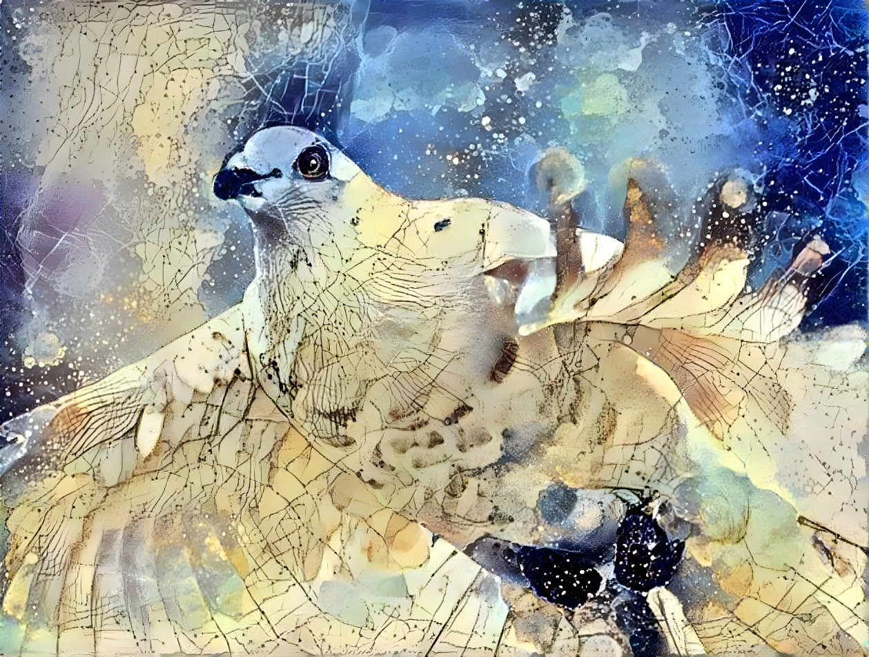 Portrait, flying dove