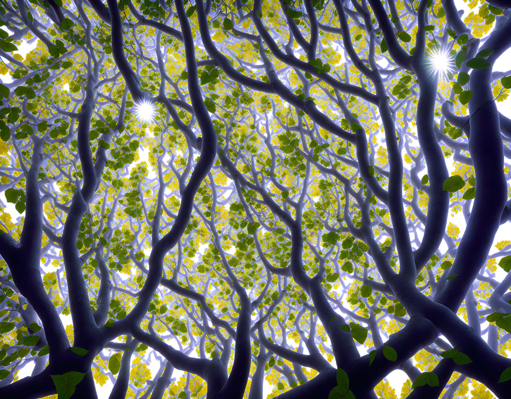 Canopy from below
