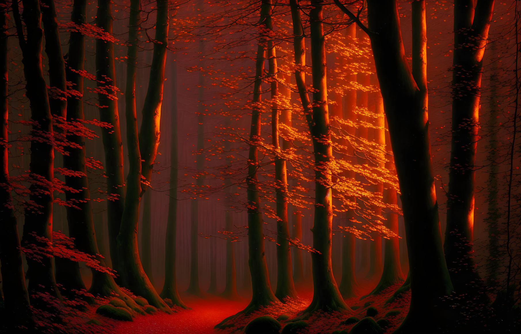 forest of red