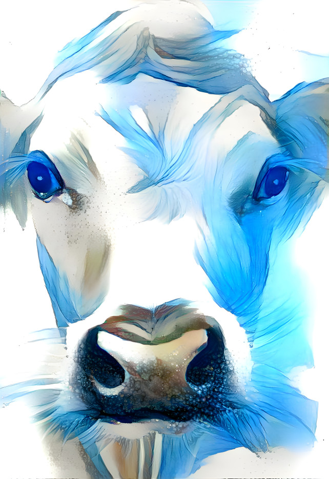blue cow