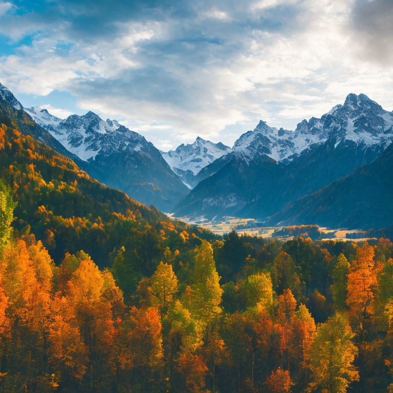 Colorful autumn foliage with snowy mountains and cloudy sky