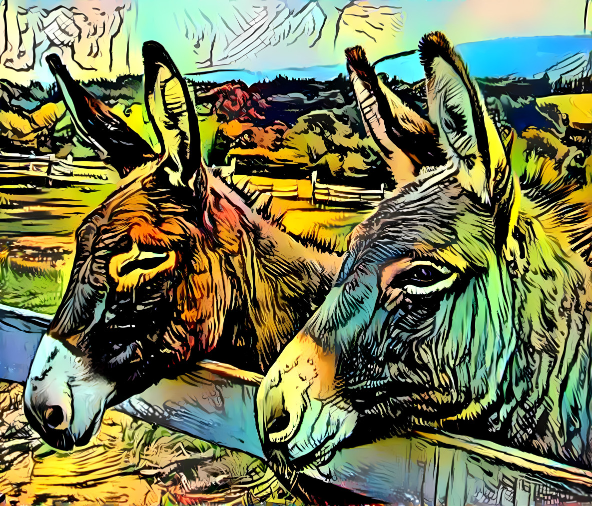 3 donkeys