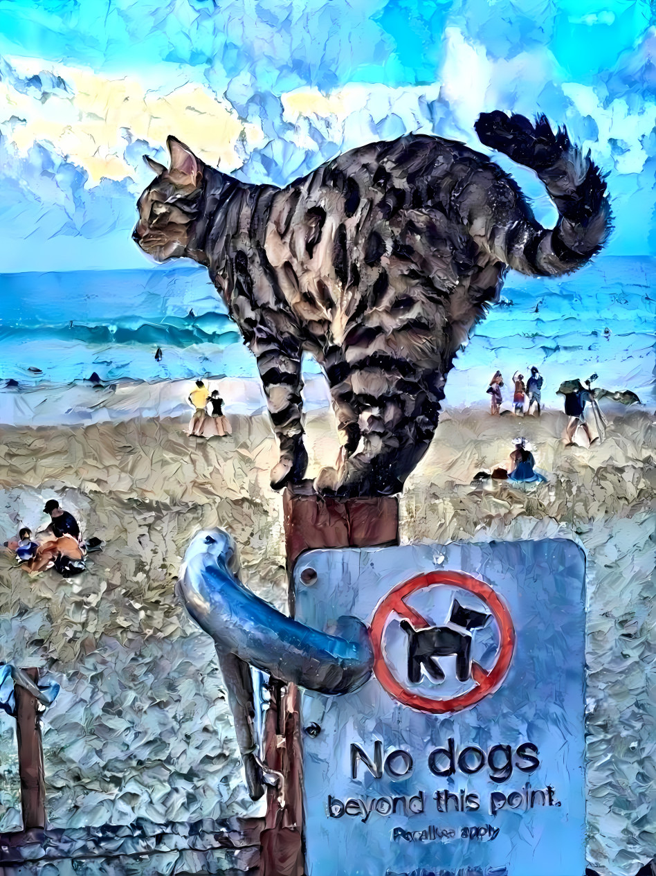 no dogs beyond this point