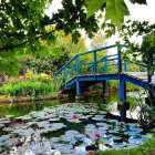 Tranquil watercolor: Wooden bridge over serene pond