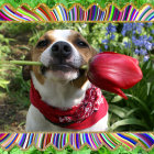 Whimsical portrait of happy dog with big eyes in floral setting
