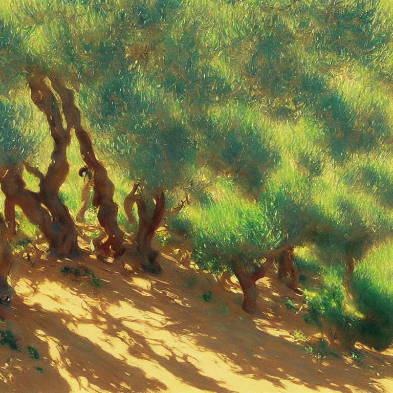 Impressionistic painting of twisted olive trees on sunlit terrain