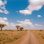 Tranquil savannah scenery with dirt road, acacia trees, clouds, and grazing zebras