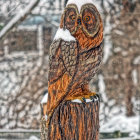 Snowy scene: Owl on branch amid falling snowflakes