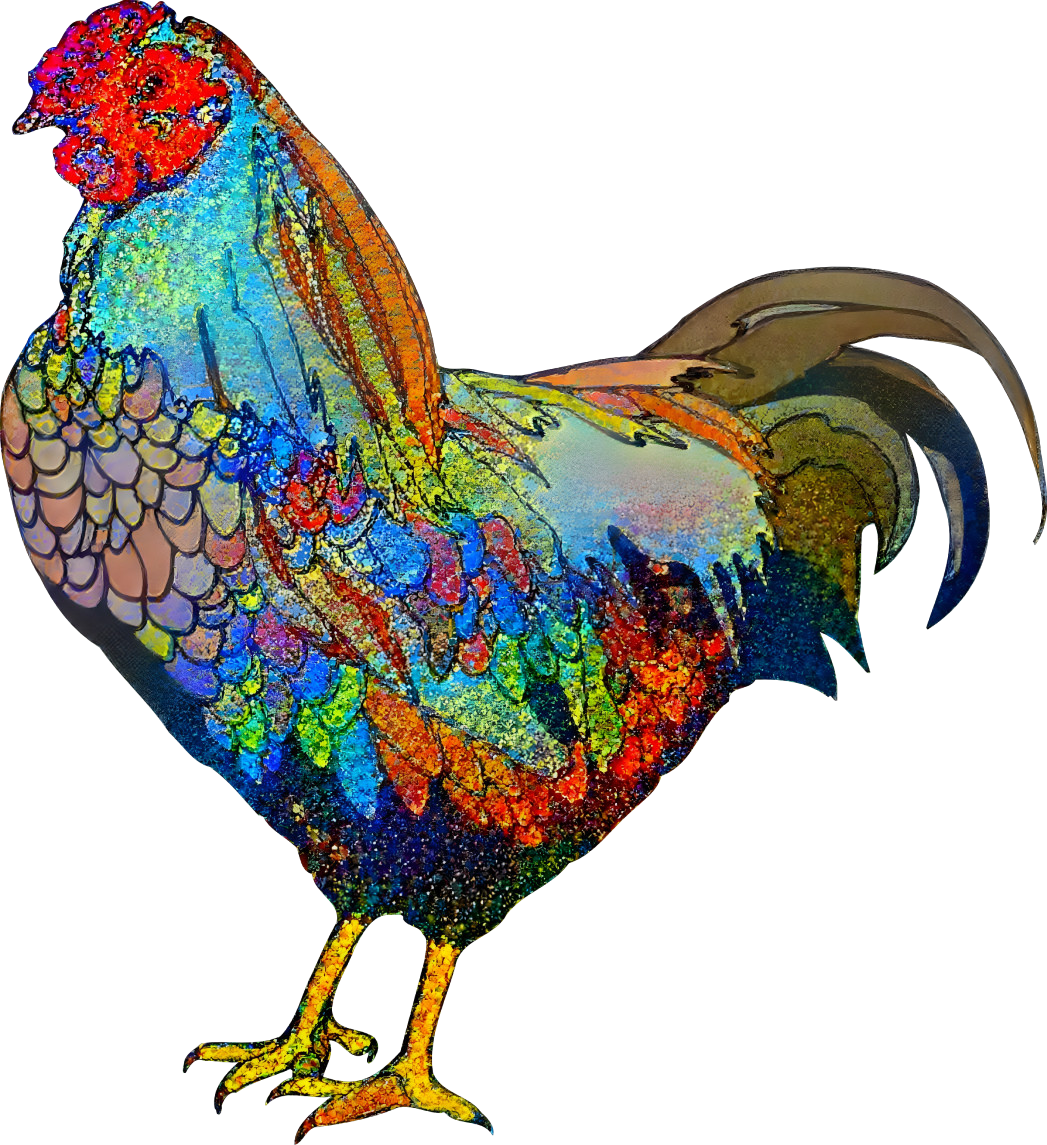 Colorful Chicken 