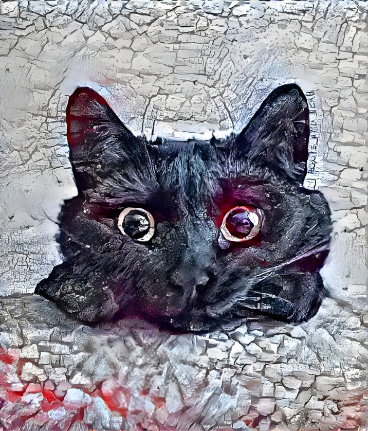 Black ash cat 