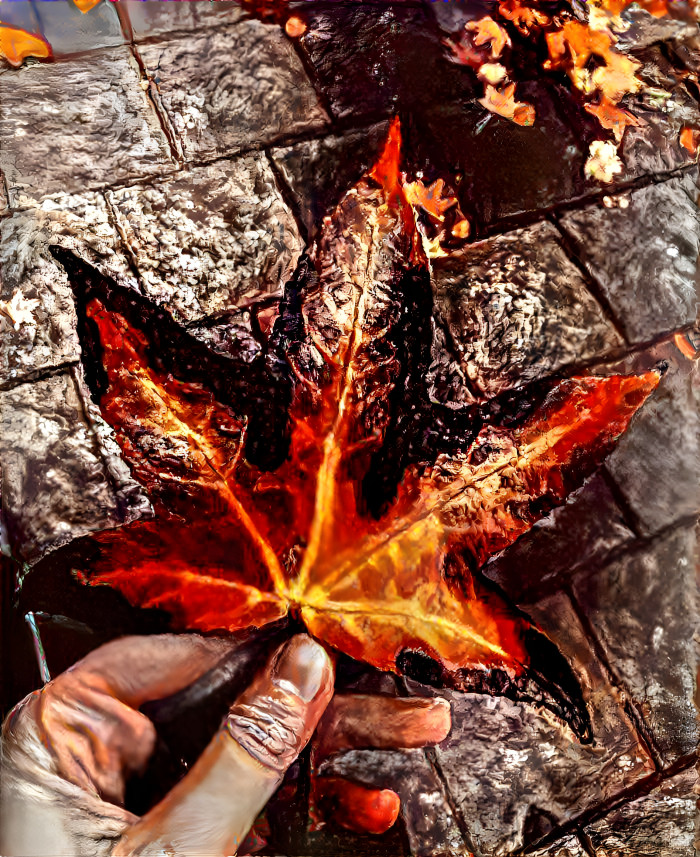 a burning leaf