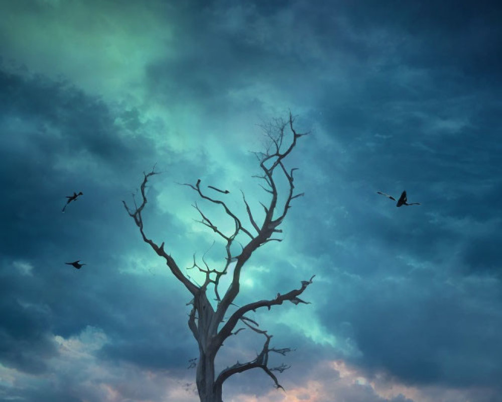 Lone tree above clouds in twilight sky with aurora and birds