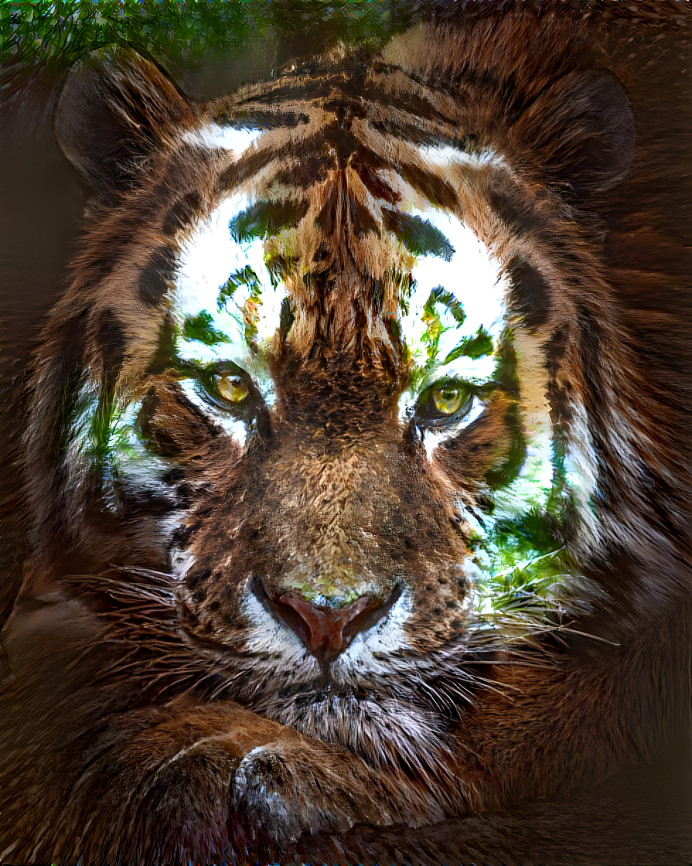 Aboreal Tiger