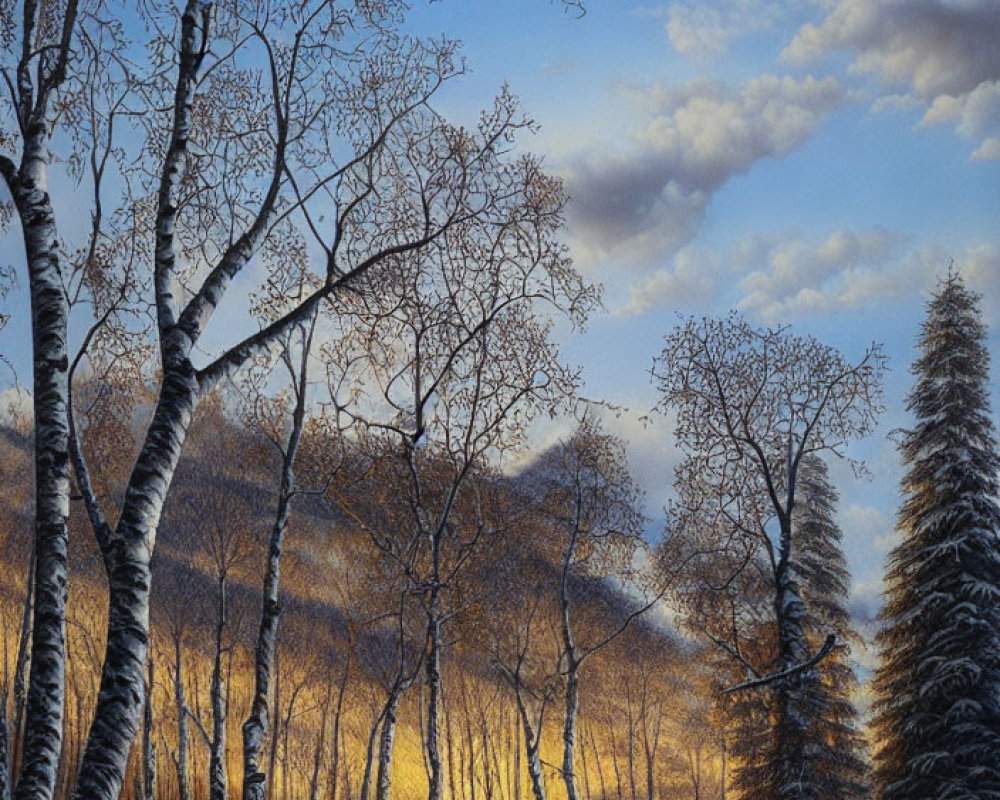 Winter forest scene with birch and pine trees under golden sunlight