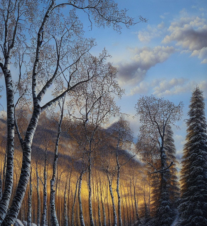 Winter forest scene with birch and pine trees under golden sunlight