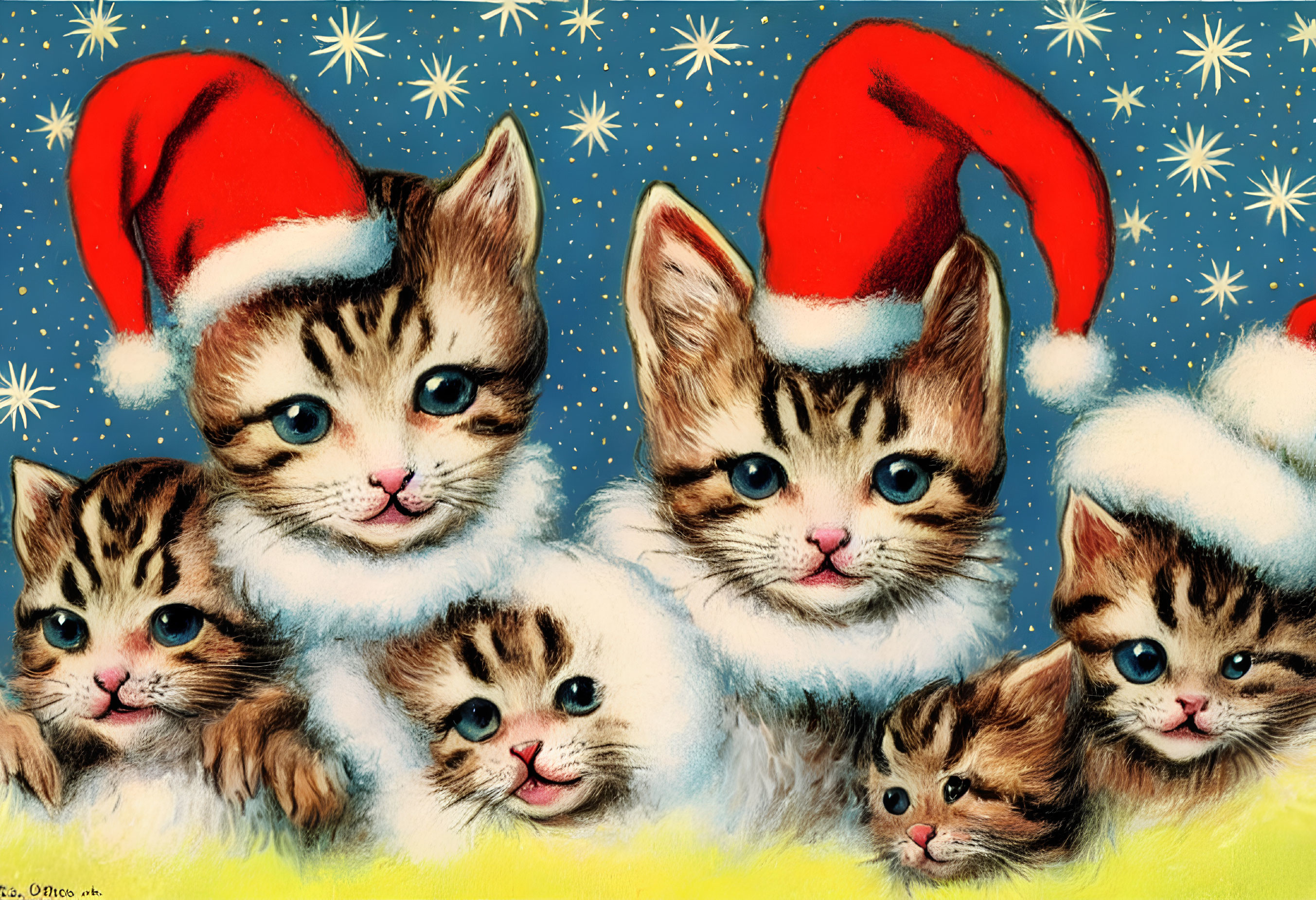 Five Kittens in Santa Hats and White Collars on Blue Starry Background