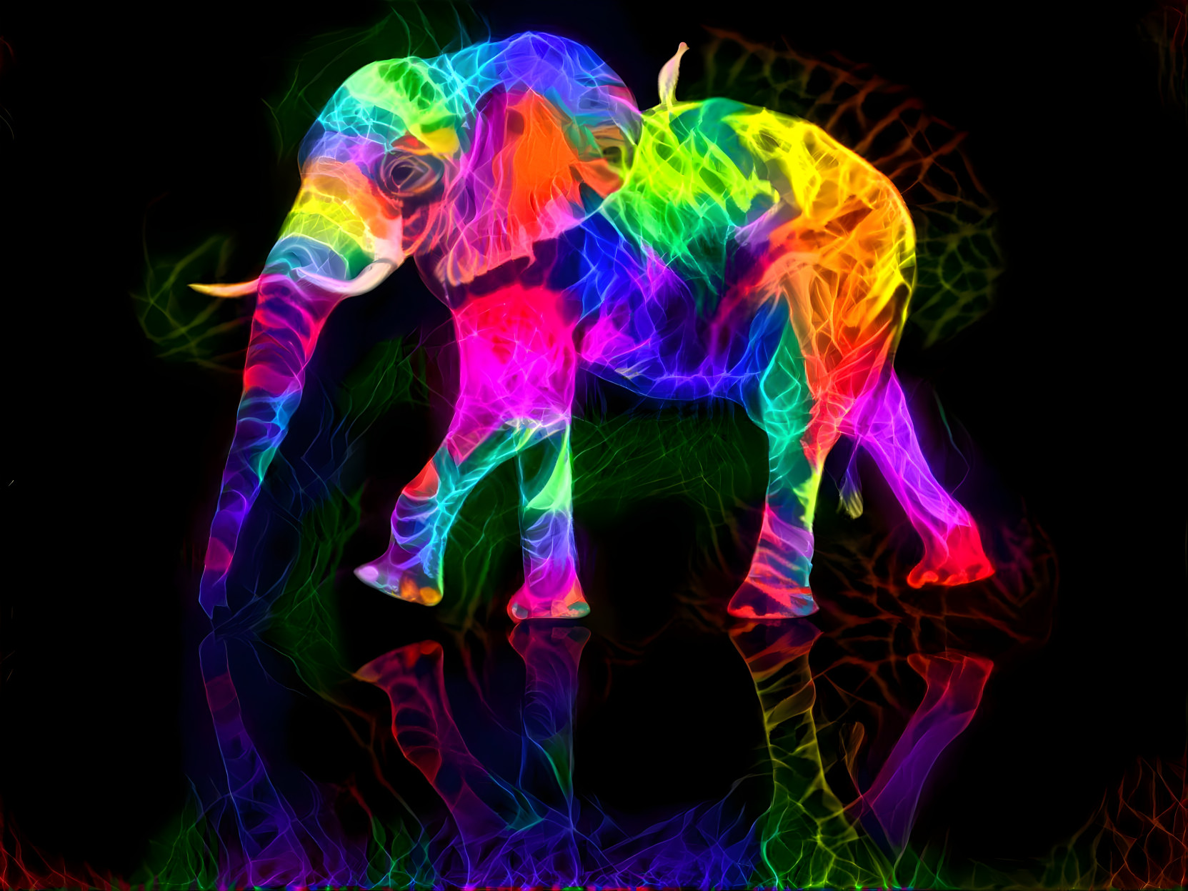 Colorful Elephant Walk [FHD]