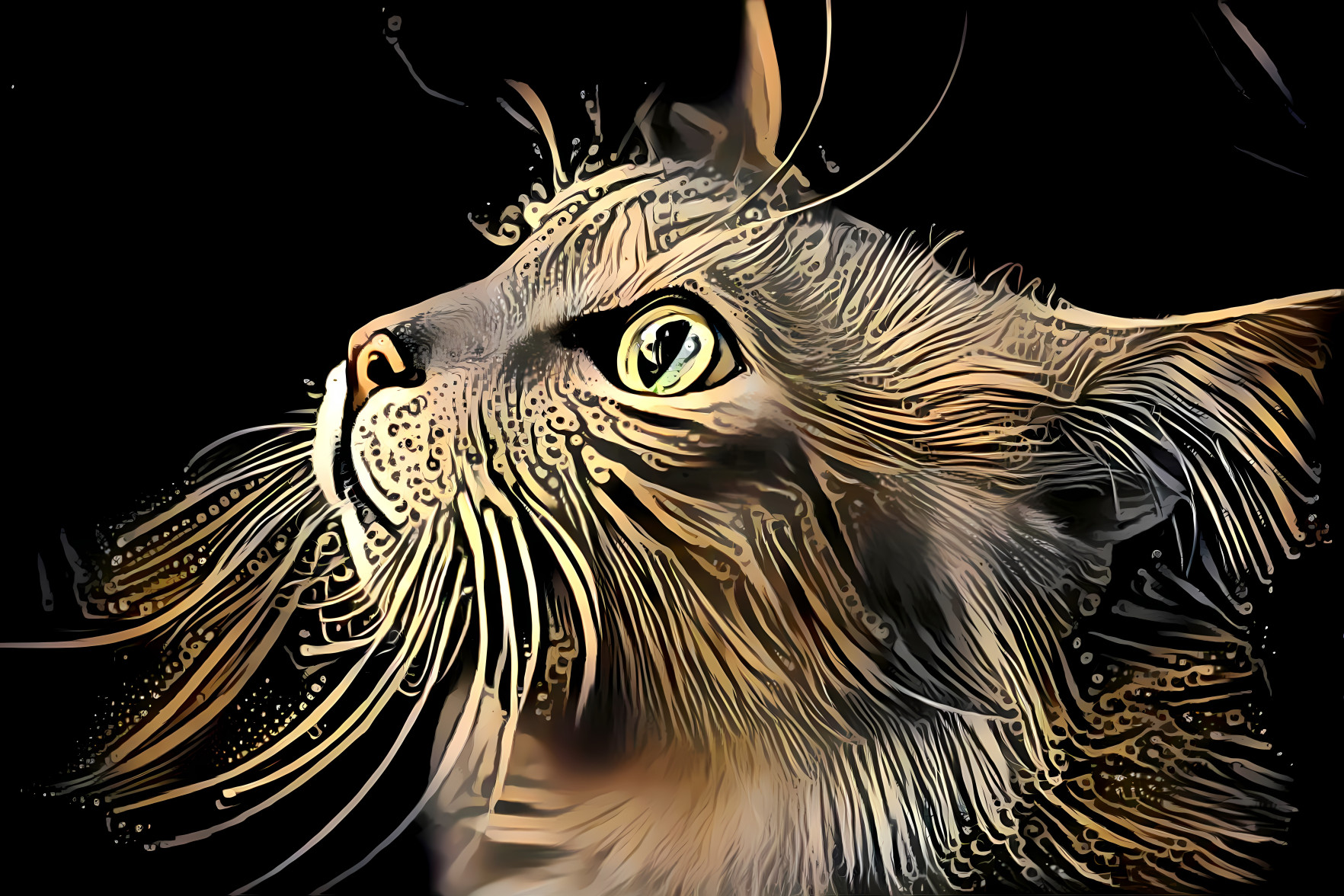 Bronze Cat [FHD]