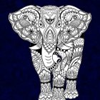 Colorful Elephant Illustration with Intricate Patterns on Starry Night Background